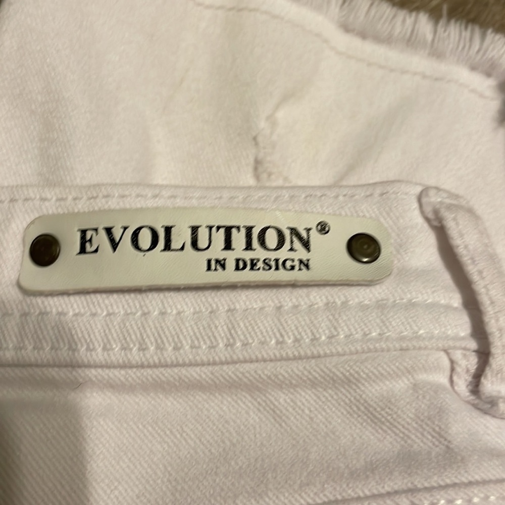 Evolution in Design - Picture 4 of 8